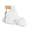 Wit