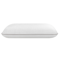 Ergonomisch kussen